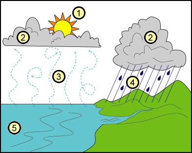 A water cycle diagram.