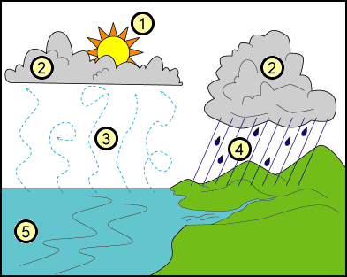 A Cycle Diagram