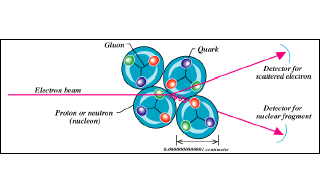 How do scientists study quarks?