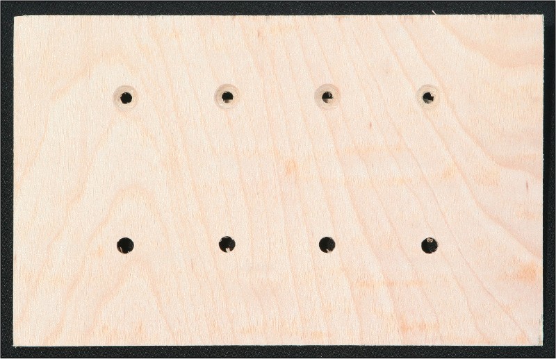 Holes for the LEDs (top) and toggle switches (bottom) have been drilled in the plywood panel.