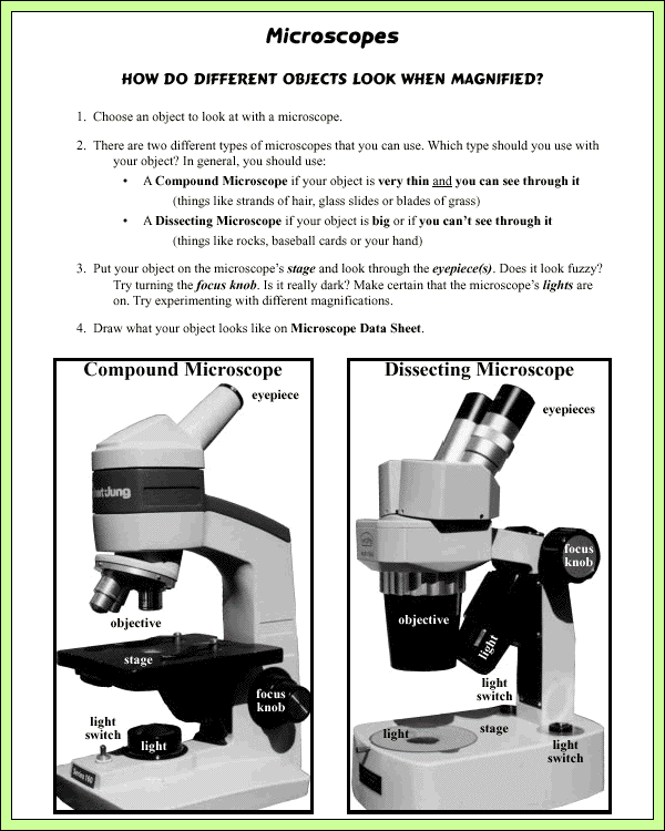 Microscopes - Lab Pages - Directions