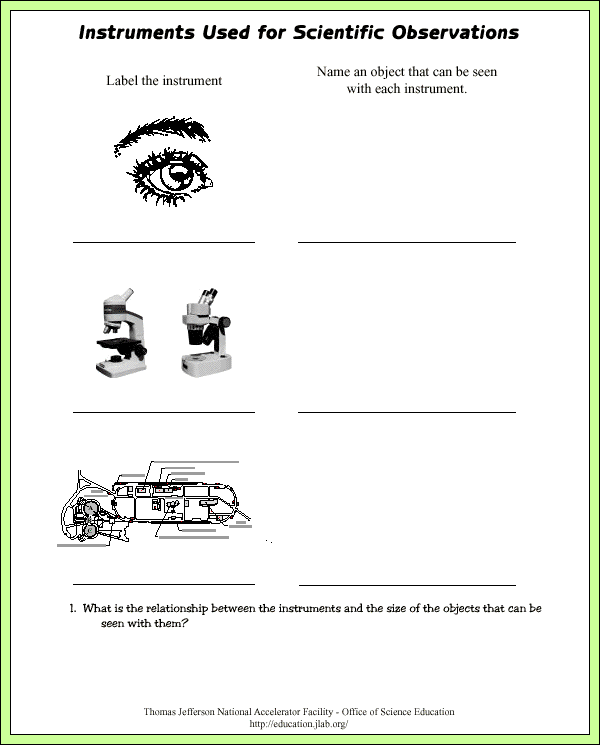 Microscopes - Lab Pages - Questions