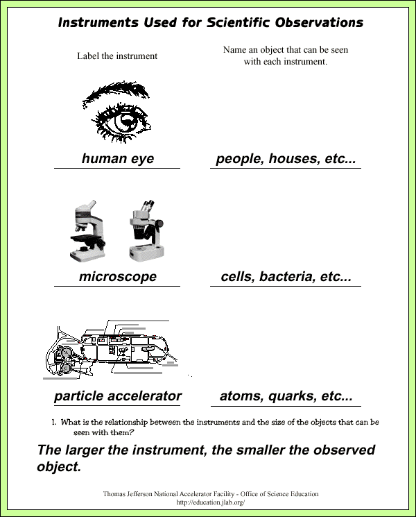 Microscopes - Sample Answers/Answer Keys - Questions