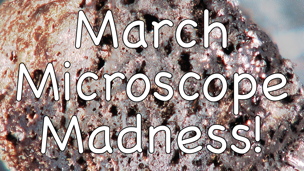 March Microscope Madness! (Week 3 - 2016)