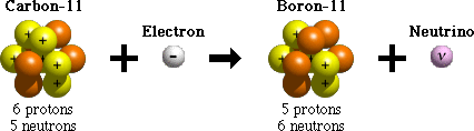 After electron capture, an atom contains one less proton and one more neutron.