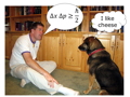What Every Dog Should Know About Quantum Physics