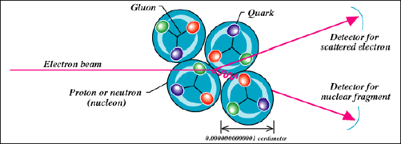 How do scientists study quarks?