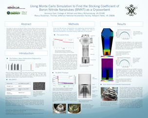 Sticking Coefficient of Boron Nitride Nanotubes