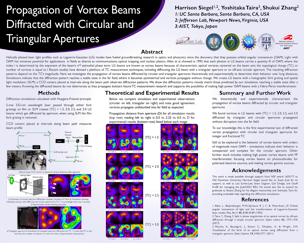 Propagation of Vortex Beams